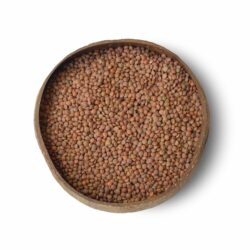 Brown Lentils ORG