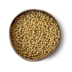 Soya Beans ORG